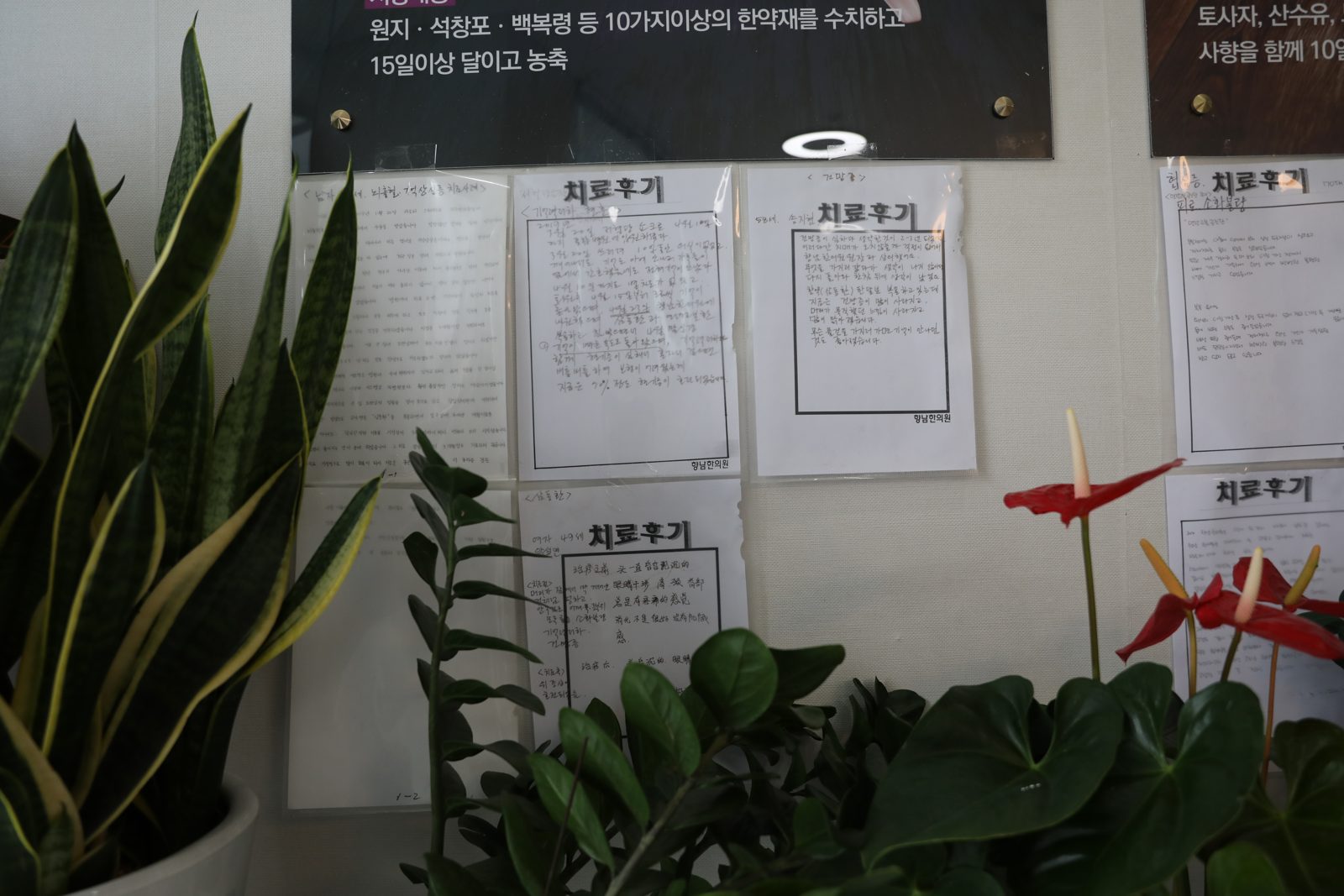 로비